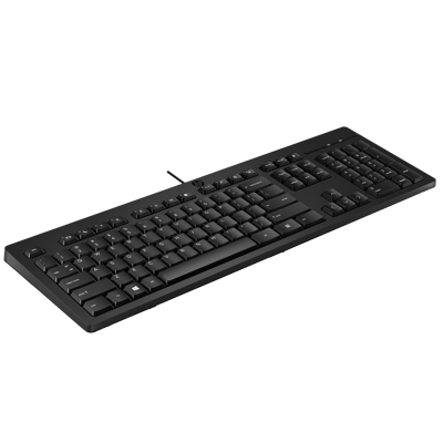 HP 125 WIRED KEYBOARD-ANGLAIS 12M (266C9AA#ABB)